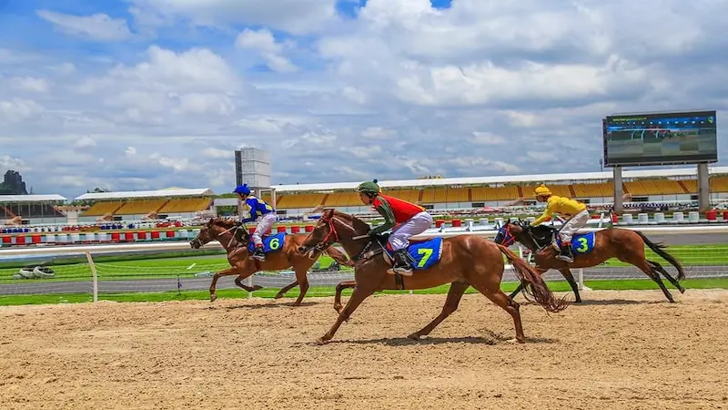 Understanding the factors that influence horse racing outcomes